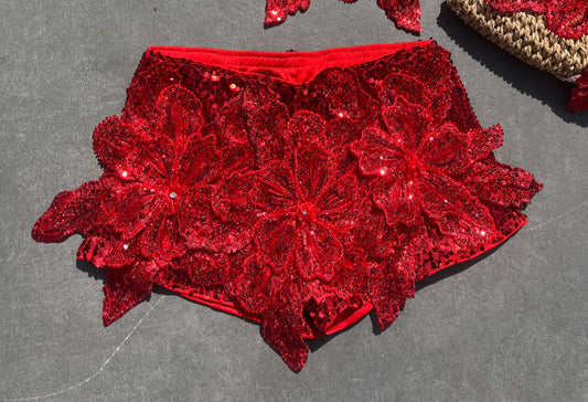 Red Gracie sequin shorts